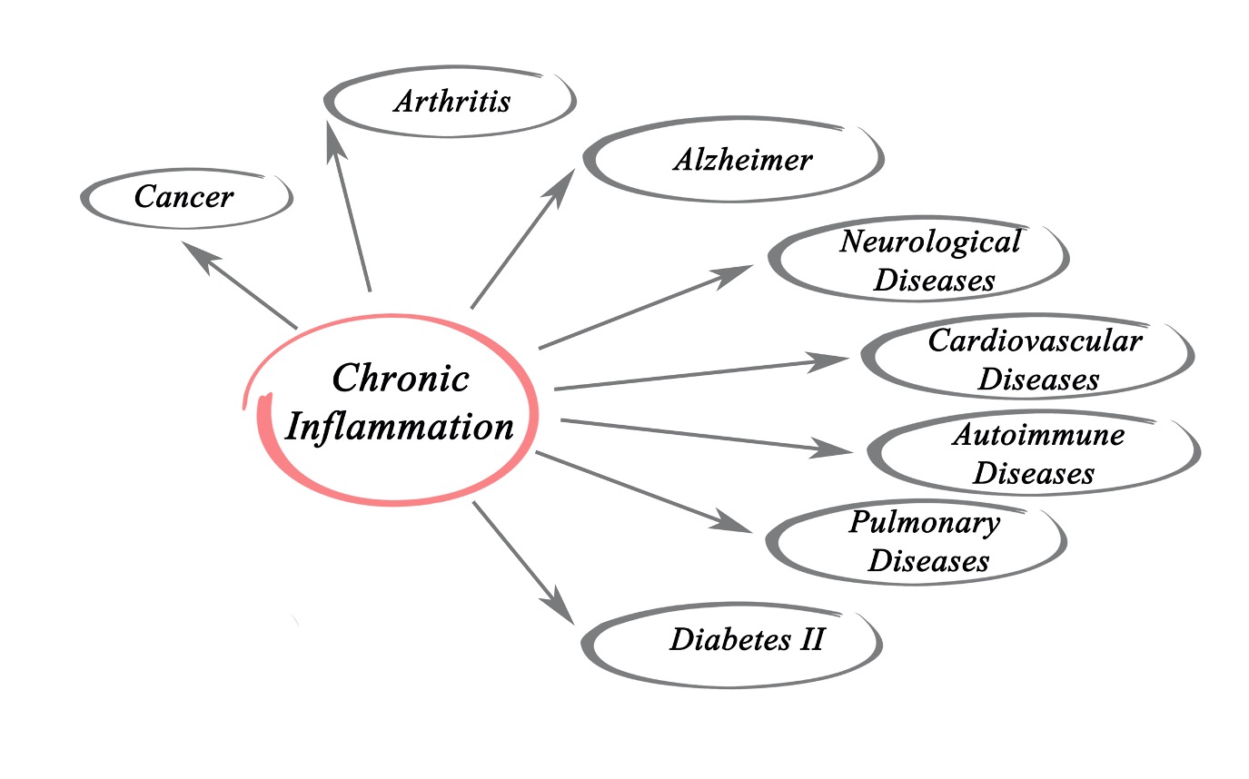 The Evolution of Chronic Pain - Back in Control