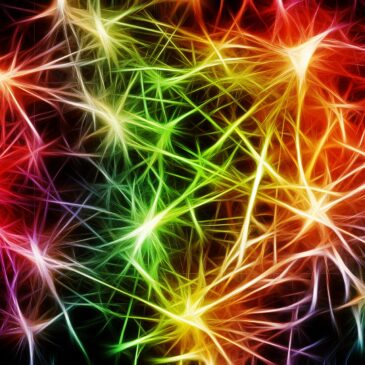 Mold Your Brain: Neuroplasticity