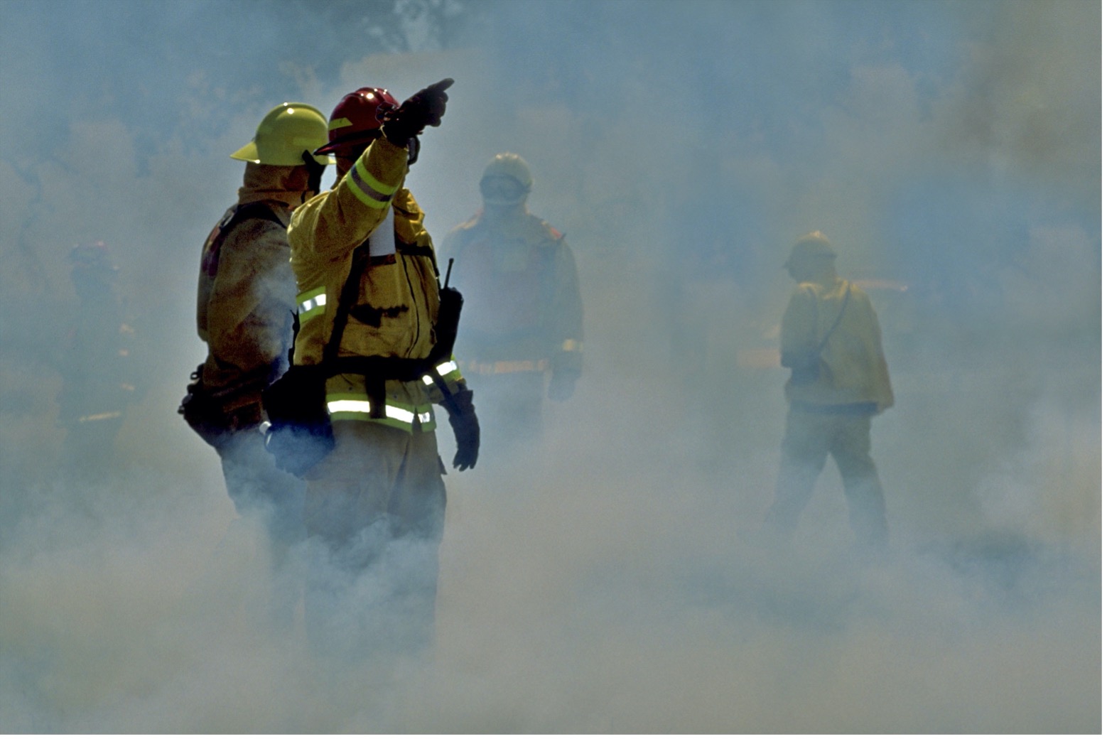 Fighting a Forest Fire - Address All Aspects of Your Pain - Back in Control