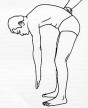 Drawing-of-lumbar-flexion