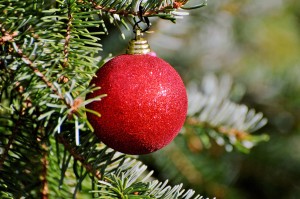 christmas-ornament-2917598_1920