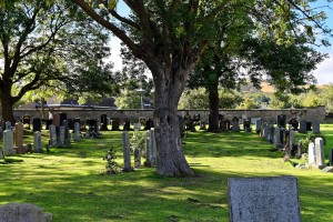 cemetery-959414_1920