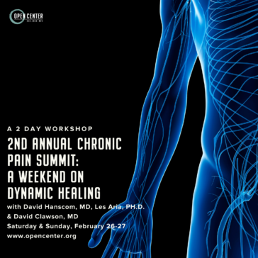 Not Just Another Pain Conference – The 2nd Annual Pain Summit